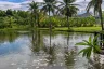 Land for sale in Rim Ping, Lamphun
