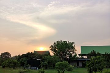 Land for sale in Rim Ping, Lamphun