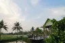Land for sale in Rim Ping, Lamphun