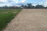 Land for sale in Ton Thong, Lamphun