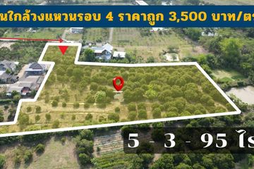 Land for sale in Huai Yap, Lamphun