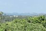 Land for sale in Mae Nam, Surat Thani