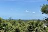 Land for sale in Mae Nam, Surat Thani
