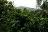 Land for sale in The Tree Madauwan, Ko Pha-ngan, Surat Thani