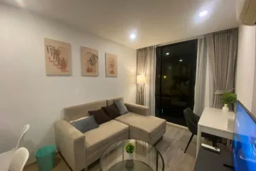1 Bedroom Condo for rent in Serio Sukhumvit 50, Phra Khanong, Bangkok near BTS On Nut