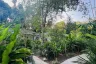 1 Bedroom House for rent in Tekapo Villas, Ko Pha-ngan, Surat Thani