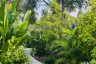 1 Bedroom House for rent in Tekapo Villas, Ko Pha-ngan, Surat Thani