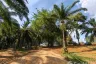 Land for sale in Khao Khram, Krabi