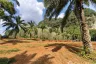 Land for sale in Khao Khram, Krabi