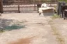 4 Bedroom House for sale in Warocha 5, Bang Phriang, Samut Prakan