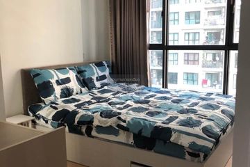 1 Bedroom Condo for rent in The Base Chaengwattana, Khlong Kluea, Nonthaburi near MRT Si Rat