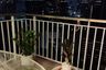 2 Bedroom Condo for rent in Baan Siri 24, Khlong Tan, Bangkok near BTS Phrom Phong