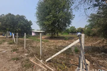 Land for sale in Doi Lo, Chiang Mai