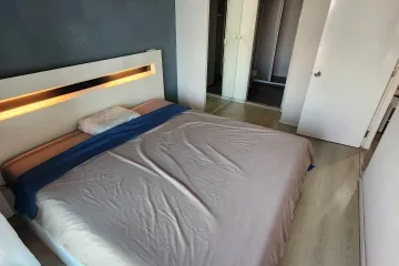 1 Bedroom Condo for rent in Aspire Sukhumvit 48, Phra Khanong, Bangkok near BTS Phra Khanong