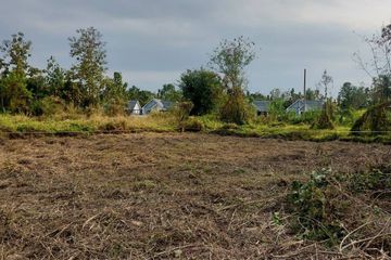 Land for sale in Nong Yaeng, Chiang Mai
