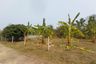 Land for sale in Mueang Kaeo, Chiang Mai