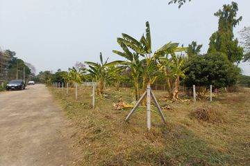 Land for sale in Mueang Kaeo, Chiang Mai