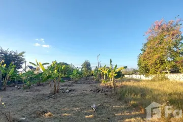 Land for sale in Saraphi, Chiang Mai