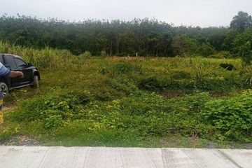 Land for sale in Thep Krasatti, Phuket