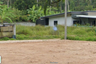 Land for sale in Lipa Noi, Surat Thani