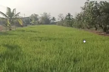 Land for sale in Sop Mae Kha, Chiang Mai