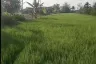 Land for sale in Sop Mae Kha, Chiang Mai