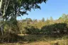 Land for sale in On Nuea, Chiang Mai