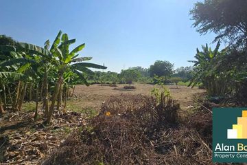 Land for sale in Pong, Chonburi