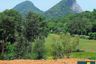 Land for sale in Nong Prue, Chonburi