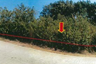 Land for sale in Kamala, Phuket