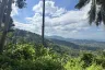 Land for sale in Lipa Noi, Surat Thani