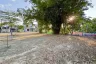 Land for sale in San Phranet, Chiang Mai