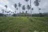 Land for sale in Na Mueang, Surat Thani