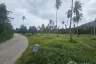 Land for sale in Na Mueang, Surat Thani