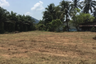 Land for sale in Khok Khian, Phang Nga