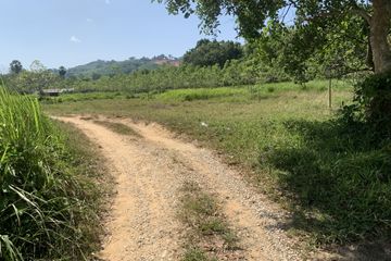 Land for sale in Pa Khlok, Phuket