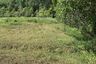 Land for sale in Pa Khlok, Phuket
