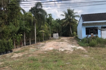 Land for sale in Bang Muang, Phang Nga