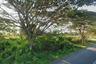 Land for sale in Bo Nok, Prachuap Khiri Khan