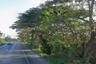 Land for sale in Bo Nok, Prachuap Khiri Khan