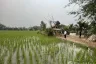 Land for sale in Nong Han, Chiang Mai