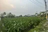 Land for sale in Nong Han, Chiang Mai