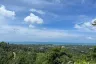 Land for sale in Ang Thong, Surat Thani