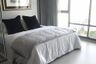 2 Bedroom Condo for rent in Rhythm Sukhumvit 42, Phra Khanong, Bangkok near BTS Ekkamai