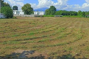Land for sale in Nam Phrae, Chiang Mai