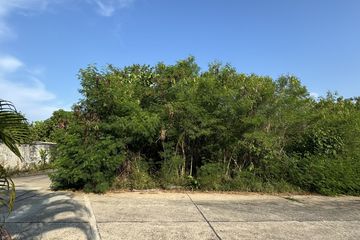 Land for sale in Mission Heights Village, Thep Krasatti, Phuket