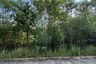 Land for sale in Mission Heights Village, Thep Krasatti, Phuket