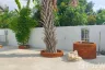 2 Bedroom House for sale in San Pu Loei, Chiang Mai
