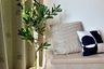 2 Bedroom Condo for rent in Ideo Sathorn - Thaphra, Bukkhalo, Bangkok near BTS Pho Nimit