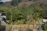 Land for sale in Sakhu, Phuket